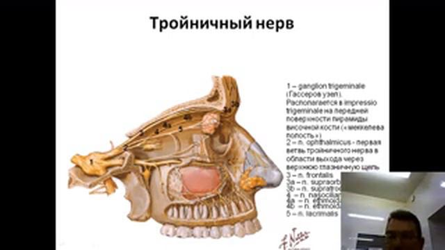 тройничный нерв лекция смотреть онлайн