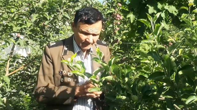 ГСВГ 9 МАЙ ...ОЛИМПИШЕСДОРФ... ПОЗДРАВЛЕНИЯ смотреть онлайн