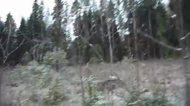 Загонная охота на лося глазами загонщика. 2016. 16 серий. 13-16. смотреть онлайн