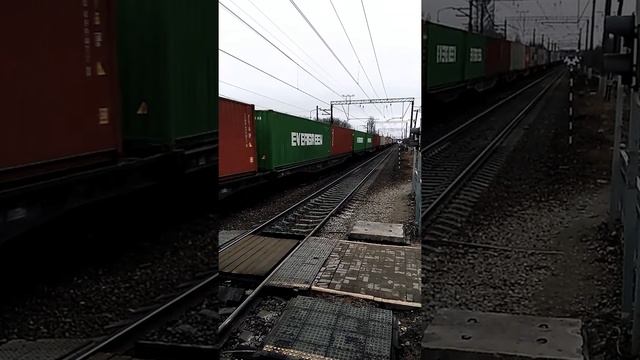 Товарный поезд проезжает мимо станции #понтонный #товарняк #поезд #российскиепоезда #переезд смотреть онлайн