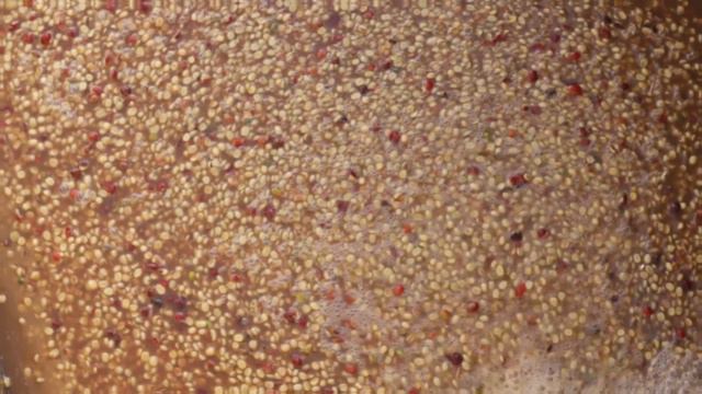 Washed Coffee Processing Explained in 90 Seconds | ECT Weekly #062 смотреть онлайн