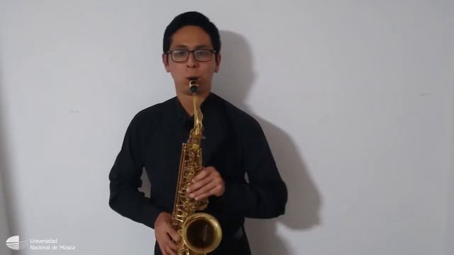 Recital 12: Conjunto de Saxofones смотреть онлайн