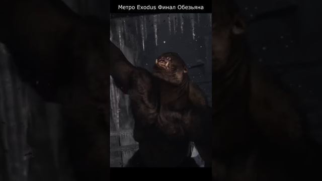 Метро Exodus Финал Обезьяна #метро #metroexodus #метроexodus смотреть онлайн