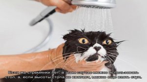 Как легко помыть люстру своими руками: советы домохозяек