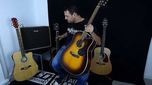 Comparativa De Guitarras Electroacústicas Para Principiantes