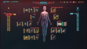 Думгай БИЛД: В аду и то безопаснее - Cyberpunk 2077