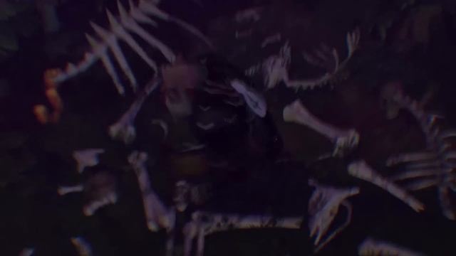 shadowraze, jzxdx - skyline ryodan смотреть онлайн