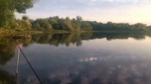 Рыбалка на фидер. В Ярославле. Очень душевный вечер.