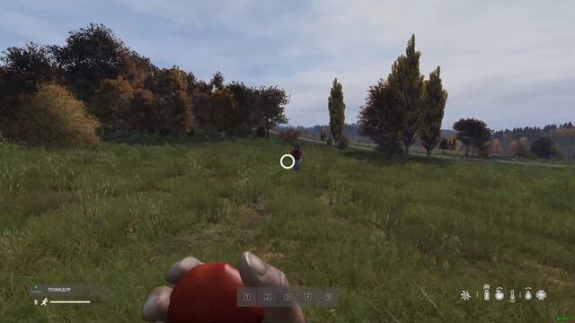 DayZ Standalone 1.05 смотреть онлайн