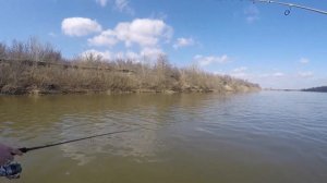 Ловля судака в марте (Семикаракорск р.Дон)