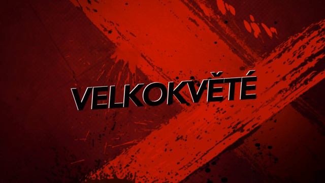 Kytice 101 Rudých Růží