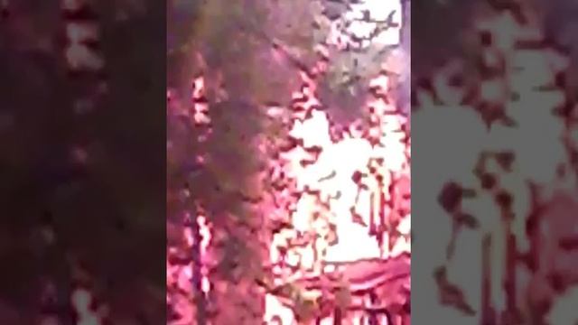 yarcube.ru — сгорела дача Вахромеева в Семибратове. смотреть онлайн