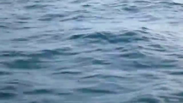 Рыбалка в Черном море. смотреть онлайн