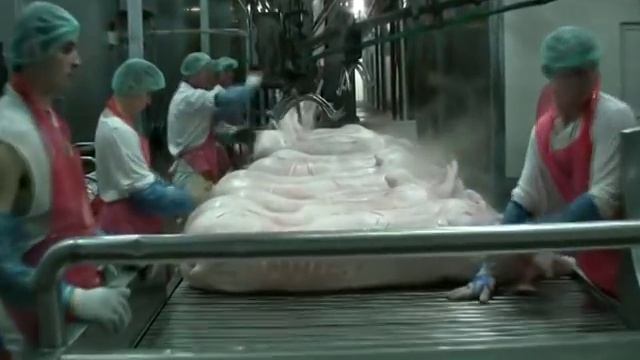 Польша.Топ 5 Худших работ в Польше