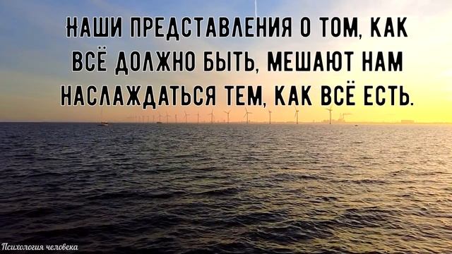 Жизненные ценности - Цитата Анджелины Джоли - Психология человека смотреть онлайн