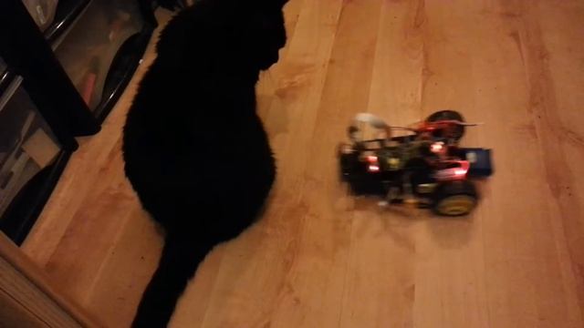 Python controlled Raspberry Pi Wheeled Robot with Pi Camera смотреть онлайн