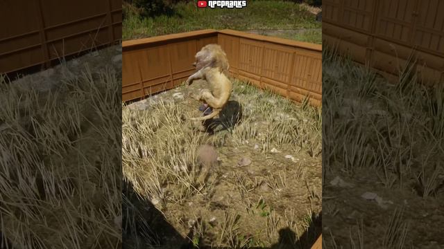 Jack Marston vs Lion | RDR2 смотреть онлайн