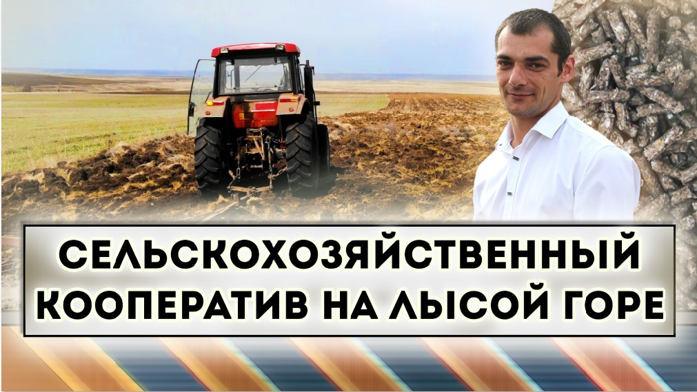 Сельскохозяйственный кооператив на лысой горе смотреть онлайн