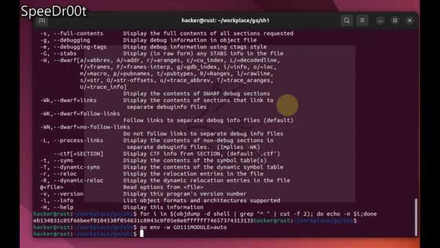 [Golang] How to execute shellcodes form memory in Golang смотреть онлайн