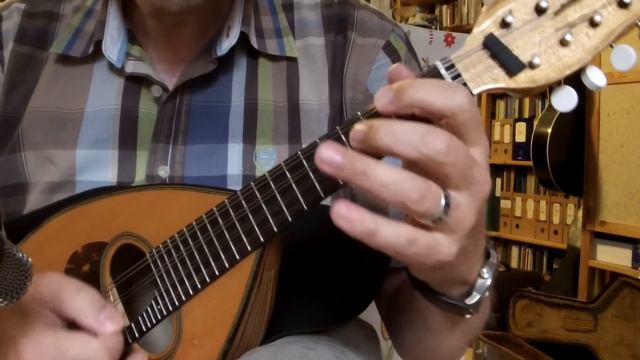 Midnight on the Water (Suzuki Mandoline) - Toller Walzer смотреть онлайн