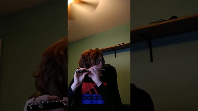 Star Wars Theme on piccolo смотреть онлайн