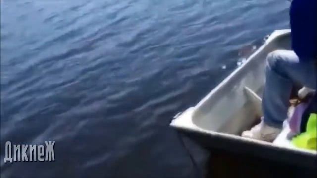 Рыбалка 80 Уровня Видео о Самых Везучих смотреть онлайн