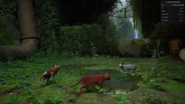 STRAY | RYZEN 3 4100 + GTX 1650 GDDR6 смотреть онлайн