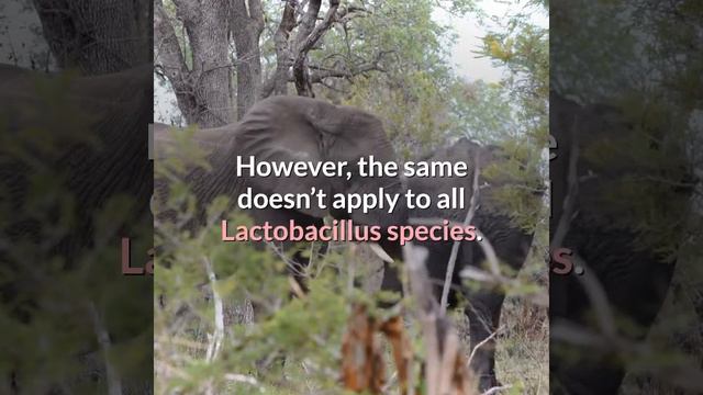 26 weight loss tips that are actually evidence based смотреть онлайн