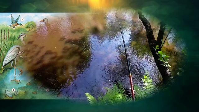 "Река и озеро", Окружающий мир 4 класс ч.1, с.71-76, Планета знаний. смотреть онлайн