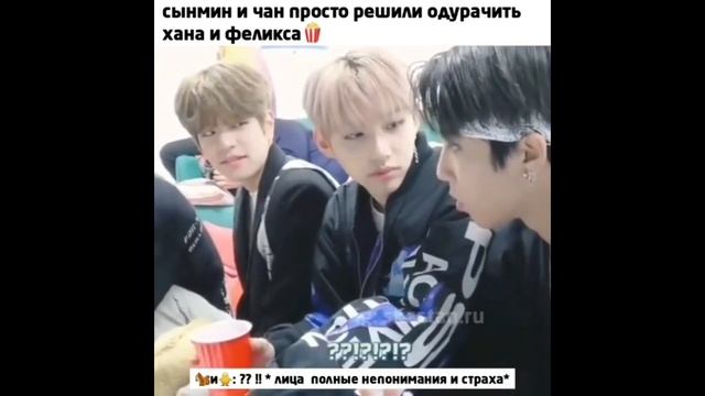 Смешные и милые моменты Stray Kids из Instagram #4 смотреть онлайн