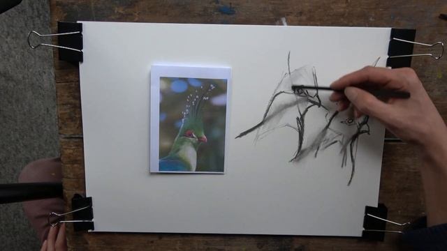 Simple but Accurate Shapes - Drawing & Painting, break down any subject - Part 1 смотреть онлайн