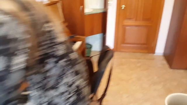 ПРАЗДНИК В ЧЕСТЬ ЛЕСИ смотреть онлайн