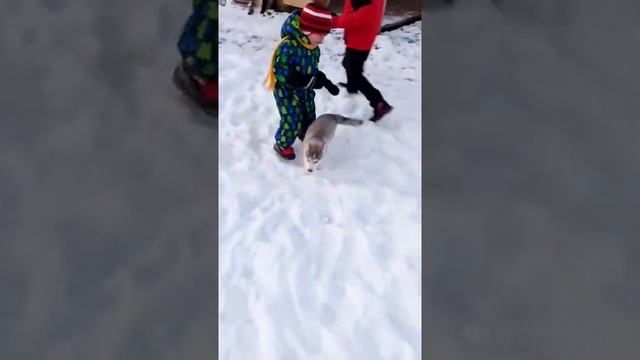 Хася на даче впервые!!! смотреть онлайн