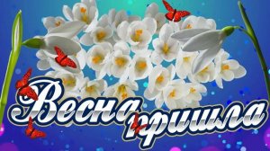 Футаж. Весна пришла 1