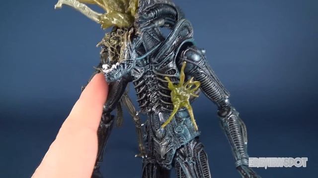NECA Aliens Series 12 Battle Damaged Blue Warrior Alien | Video Review смотреть онлайн