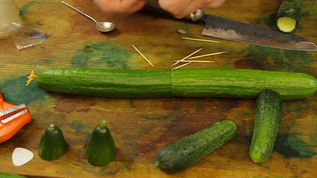 FRACTAL CUCUMBER MADE IN RUSSIA