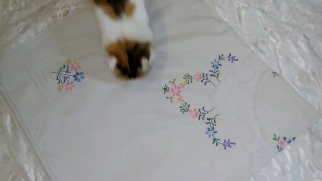 ПАМЯТНЫЕ ВЫШИВКИ. 50е, 80е,90е года. смотреть онлайн