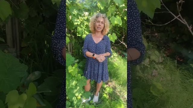 Что происходит с организмом на сухом голодании? смотреть онлайн