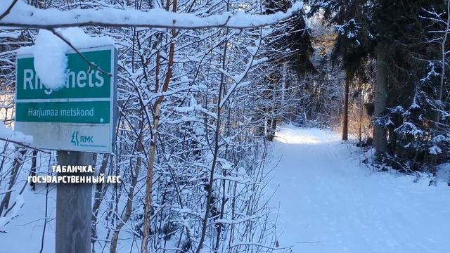 Эстония: что посмотреть и куда съездить зимой? Вильянди, Отепя и Таллинн? смотреть онлайн
