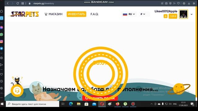 Сайт Star Pets Туториал смотреть онлайн