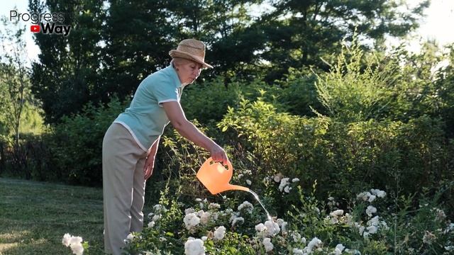 Дизайнерский рай