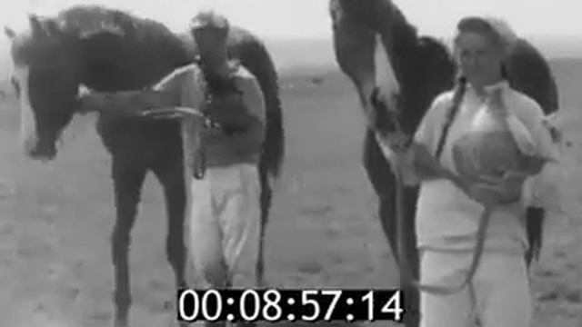 1974г Праздник спорта в Элисте смотреть онлайн