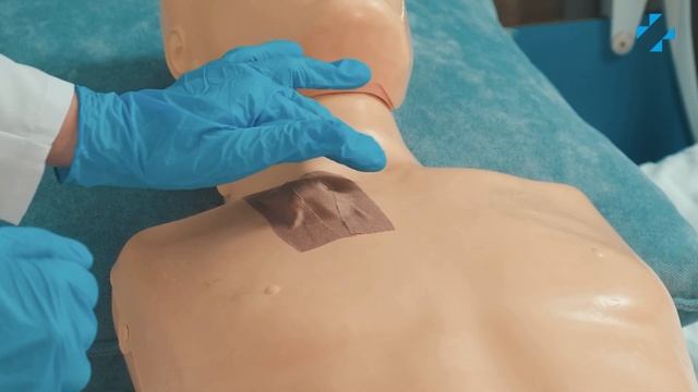 Инструкция по установке иглы Губера в порт-систему смотреть онлайн