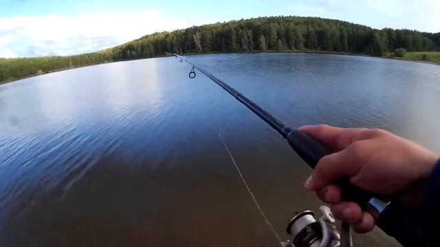 Там реально есть рыба???!!!Озеро на базе отдыха!!!Рыбалка на окуня,ловля на отводной!!!15.08.2017