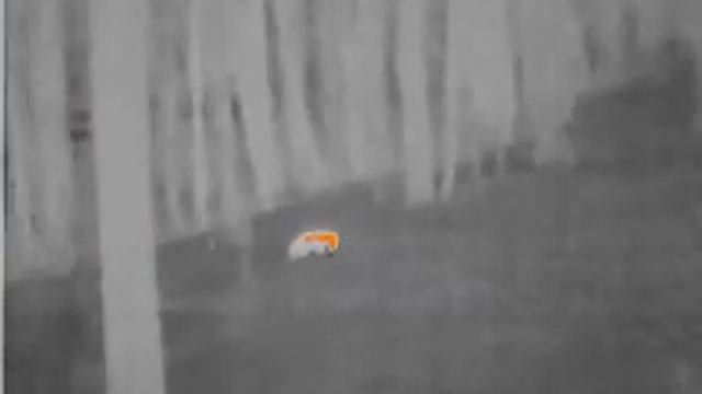 Wärmebildkamera FLIR Scout TK - TEST (Dachs) смотреть онлайн