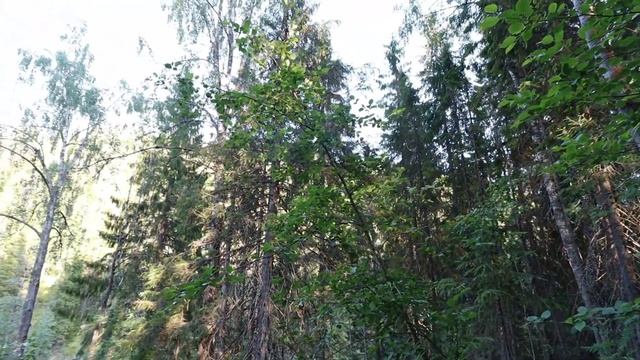 Водопады Белые мосты, Карелия на автомобиле. смотреть онлайн