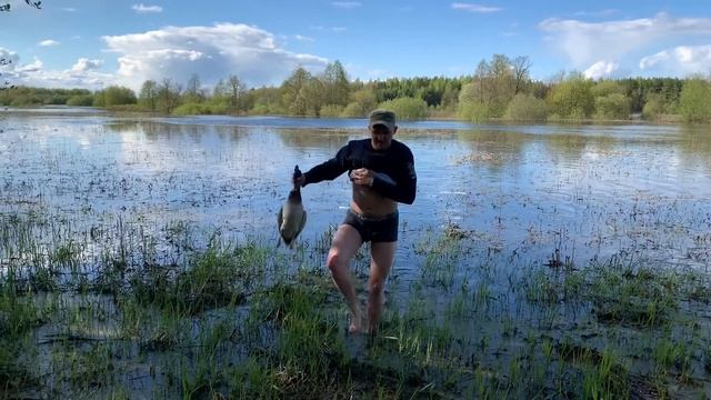 Как мы доставали утку весной из воды без лодки?