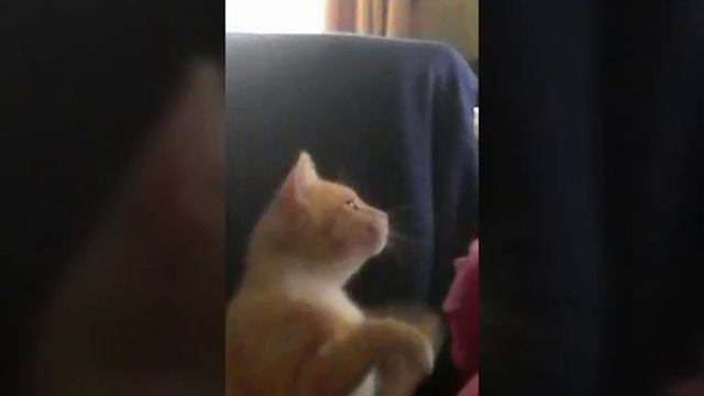 Вот моя любовь смотреть онлайн