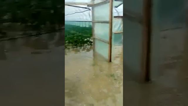 Потоп Станица Михайловская 2017 год май смотреть онлайн