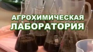 Peat harvesting (Добыча торфа) / ООО «Пельгорское-М» 2013